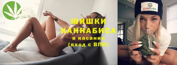 прущие грибы Абдулино