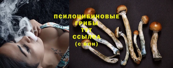 гидра Абинск